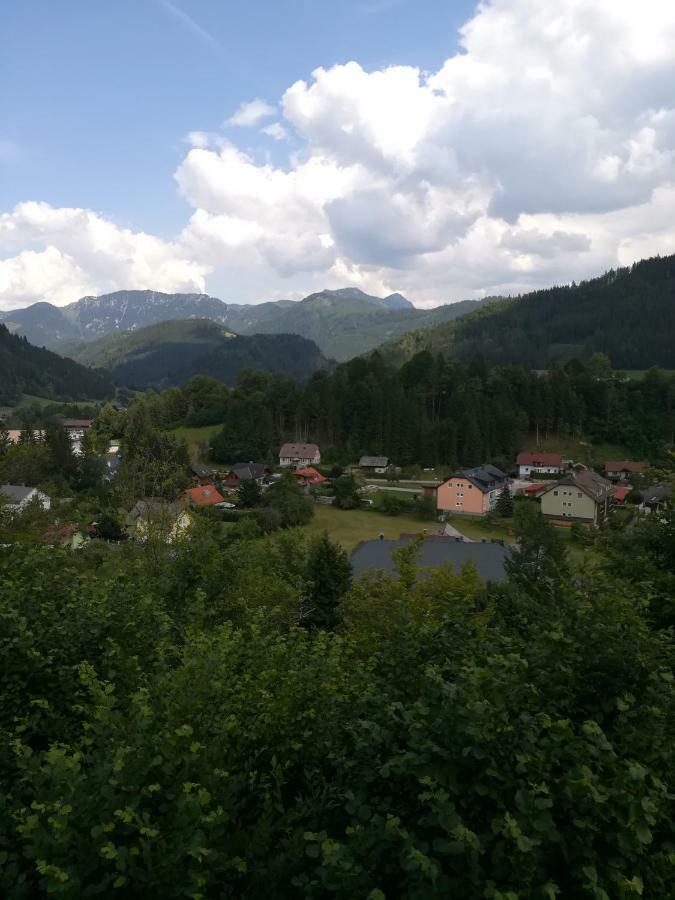 Ferienhof Kirchau Goestling an der Ybbs Luaran gambar